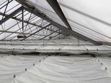 Energieschirm - Schattiergewebe , Gewebe indoor