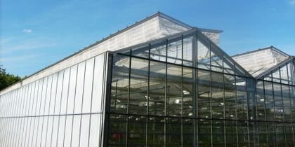 Insektenschutznetz Lüftungsanlagen Gewächshaus - Gewächshausbau Dresden